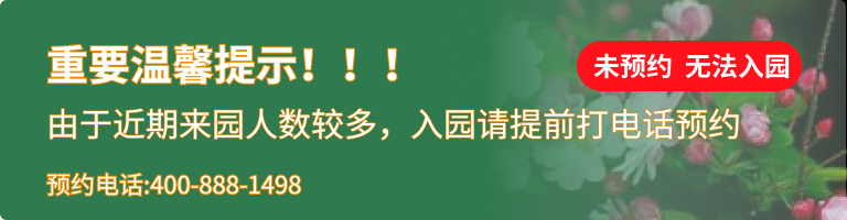 始祖山塔陵园